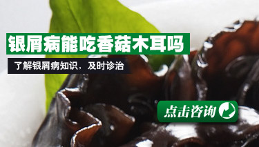 ţƤѢ���Գ�ľ����